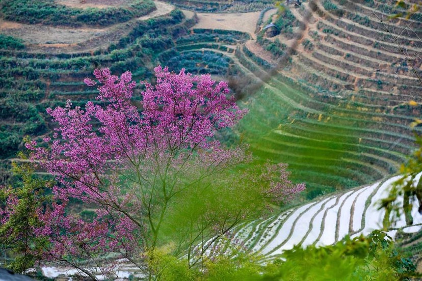 What To See In Nghia Lo, Viet Nam? The Charms Of Nghia Lo, Yen Bai What To See In Nghia Lo, Viet Nam? The Charms Of Nghia Lo, Yen Bai